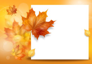 Yapraklı sonbahar arkaplanı