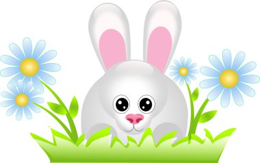 küçük tavşan çim