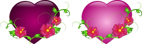 Two hearts with hibiscus in two colors — Stock Photo, Image