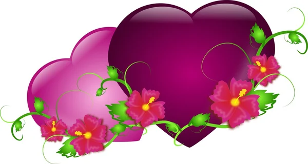 Två hjärtan med hibiscus — Stockfoto