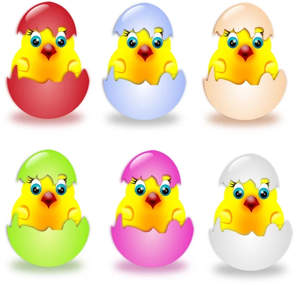Kleine kippen in eieren in de schaal — Stockfoto