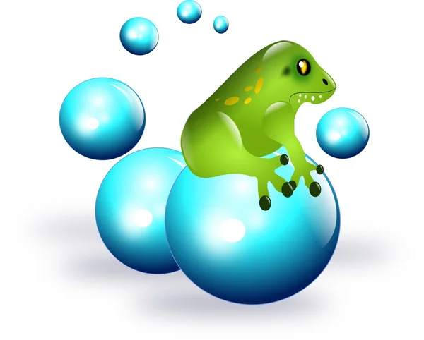 Frog on balls — Stock Photo, Image