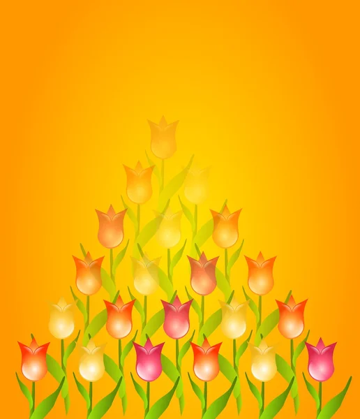 Tulip background — Stock Photo, Image