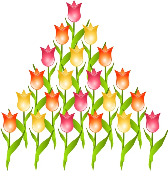 Pirâmide de tulipas — Fotografia de Stock