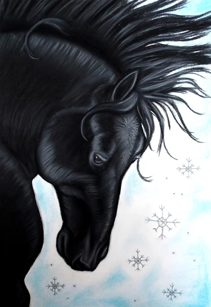 Black horse painting — Stock Photo, Image