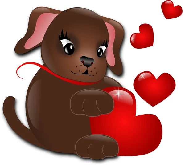Dog with hearts — Stock Photo, Image
