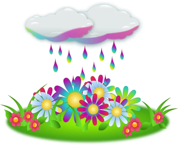 Coloring rain on flowers — Stock Photo, Image