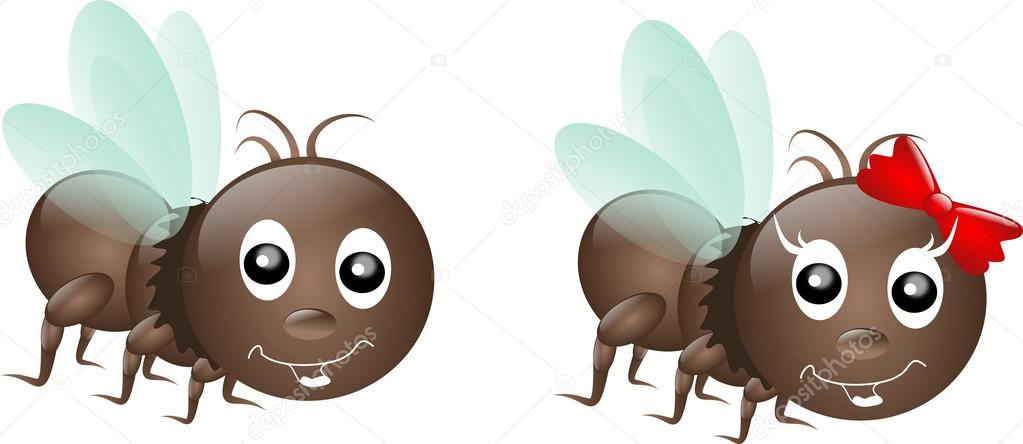 Two flies