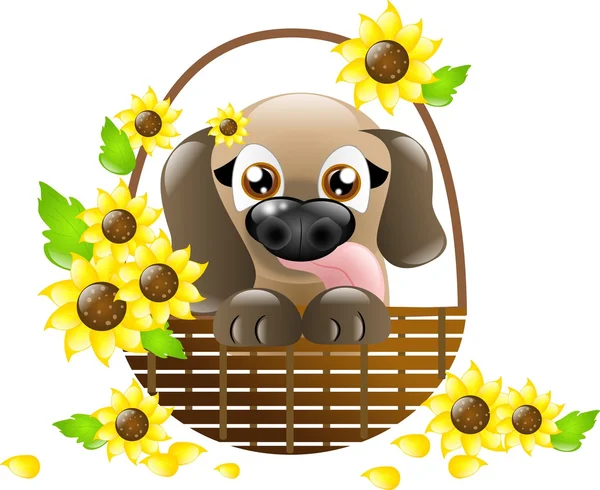 Cute puppy in basket with sunflowers — Stock Photo, Image