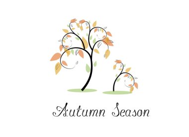 Sonbahar sezonu ağaçlar