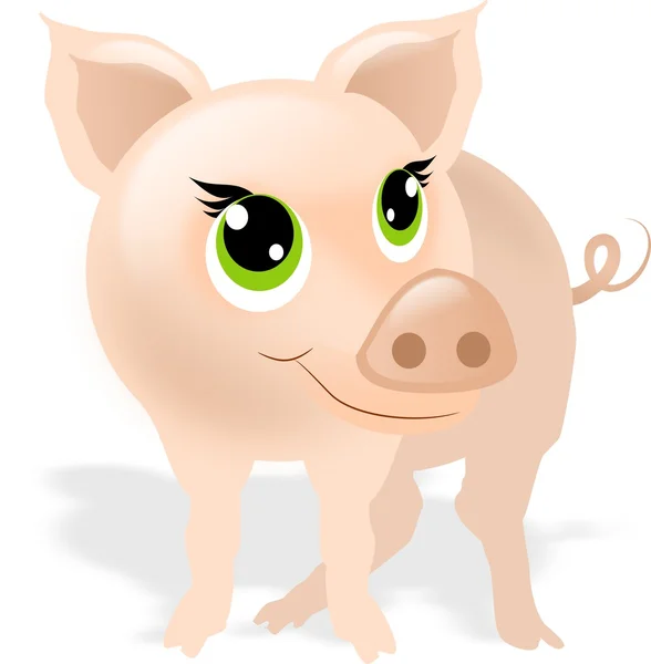 Kleines Schwein — Stockfoto