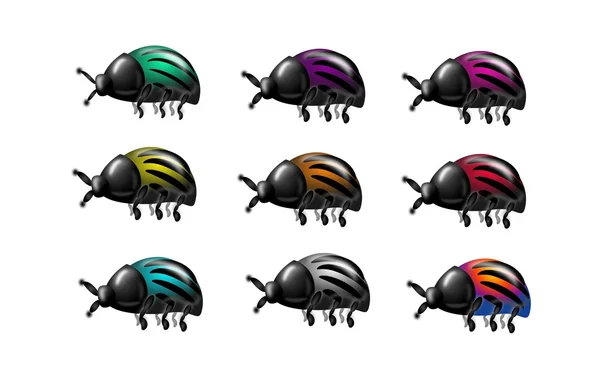 Set of beetles — Stock Photo, Image