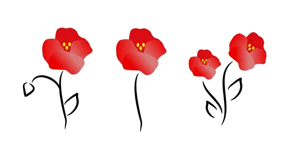 Poppies — Stock Photo, Image