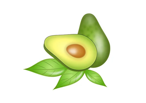 Avocado illustratie — Stockfoto