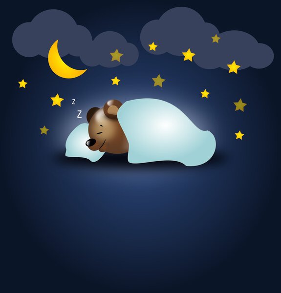 Bear night