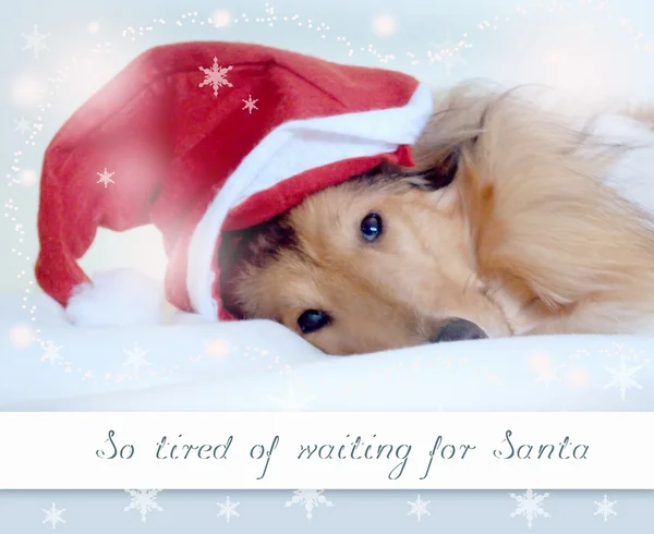 Tan cansado de esperar a Santa Claus — Foto de Stock