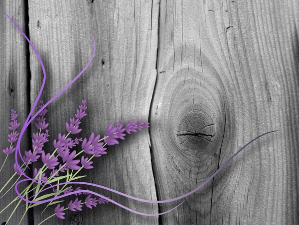 Lavender on wood — Stock Photo, Image