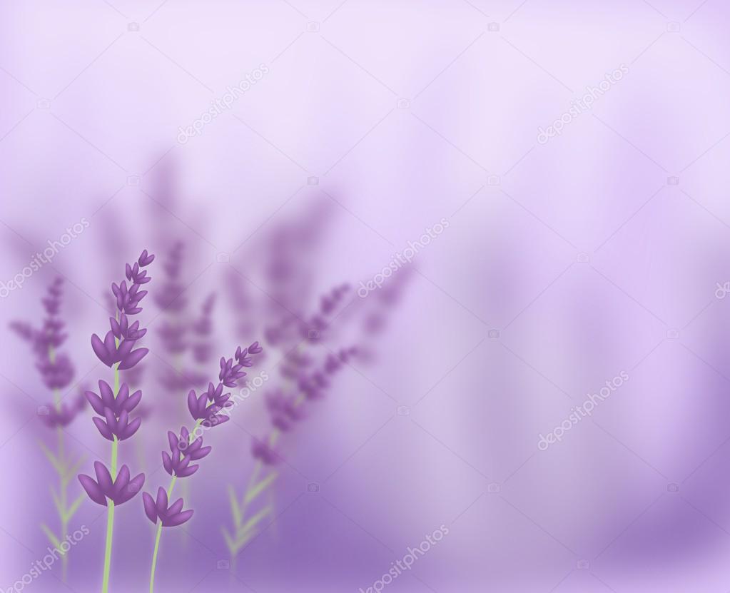 Lavender Background Stock Photo by ©sidliks 61355501