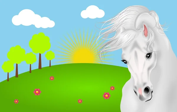 Bílý kůň s krajinou — Stock fotografie