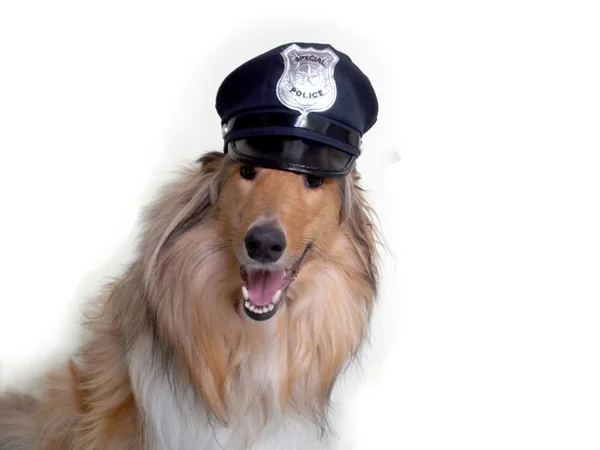Polis Köpeği