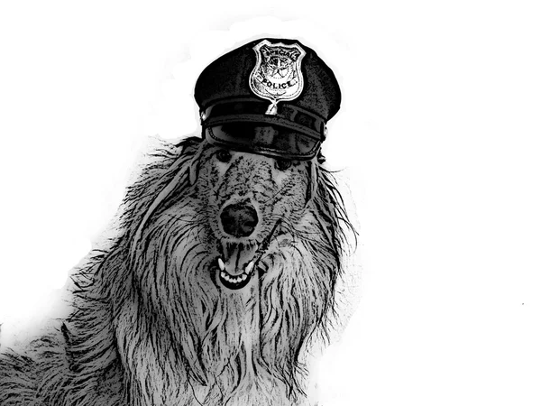 Polis Köpeği — Stok fotoğraf