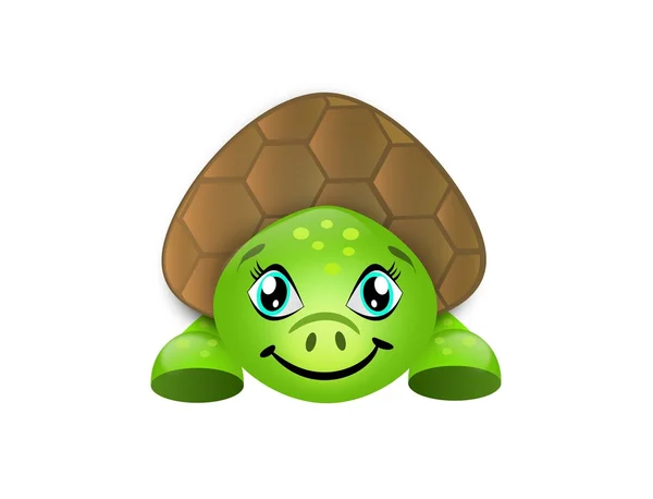 Schattige schildpad — Stockfoto