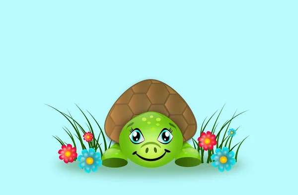 Niedliche Schildkröte im Gras — Stockfoto