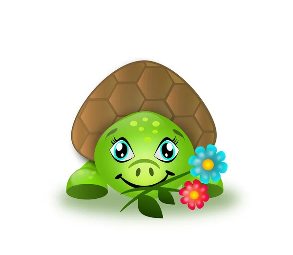 Cute turtle eating flowers — Stock Photo, Image