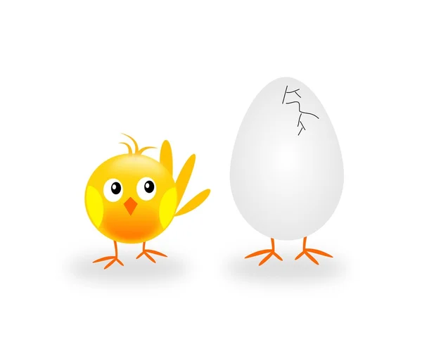 Nya äggνέο αυγό — Stockfoto