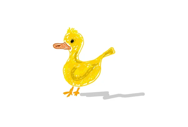 Cartoon duck — Stock Photo, Image