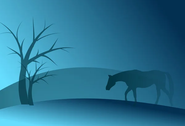 Blue horse background — Stock Photo, Image