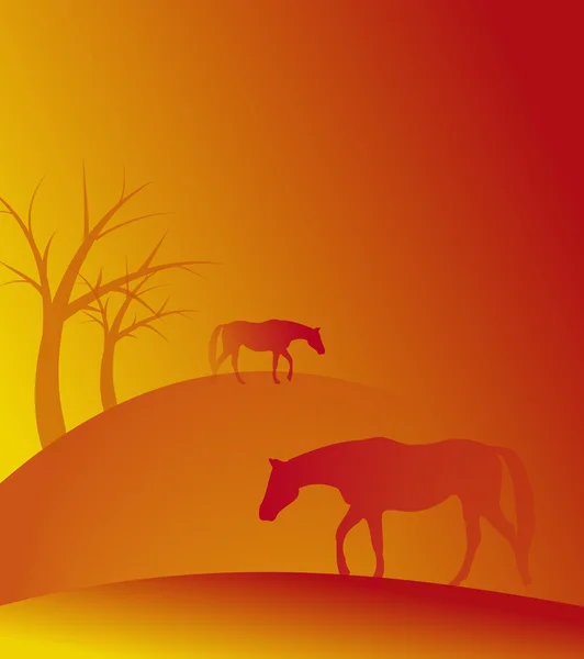 Hot horse background — Stock Photo, Image