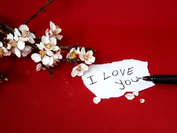 Message from love — Stock Photo, Image