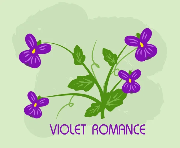 紫罗兰色的浪漫 — 图库照片