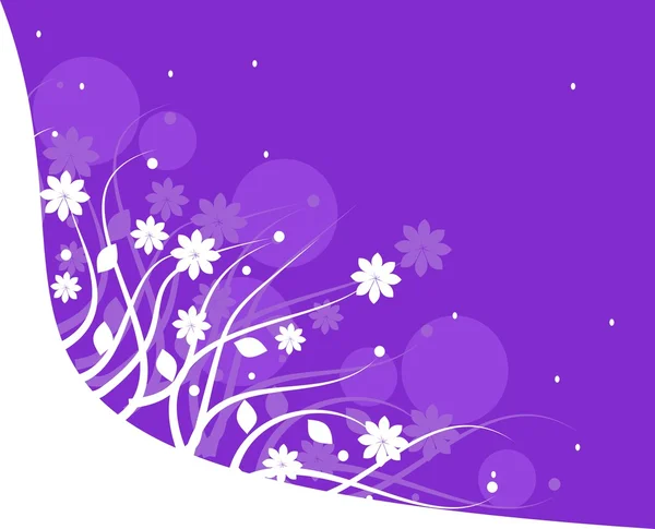 Фіолетовий білий квітковий фон — стокове фото