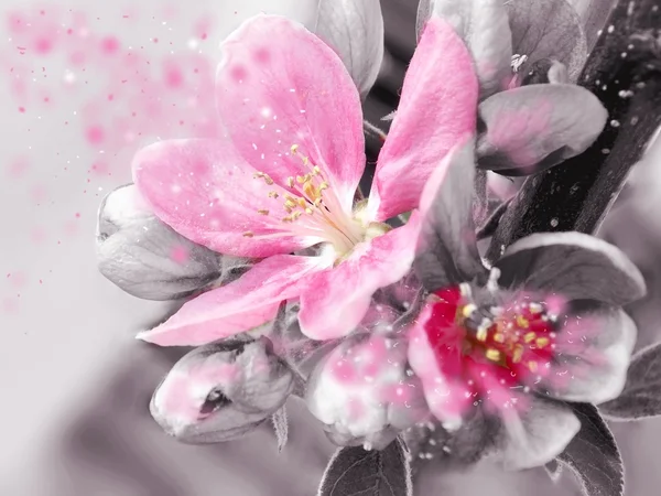 Красива рожева квітка фентезі — стокове фото