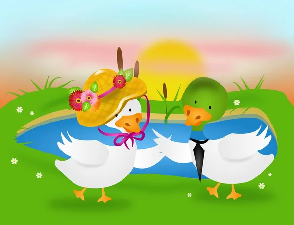 Dancing ducks — Stock Photo, Image