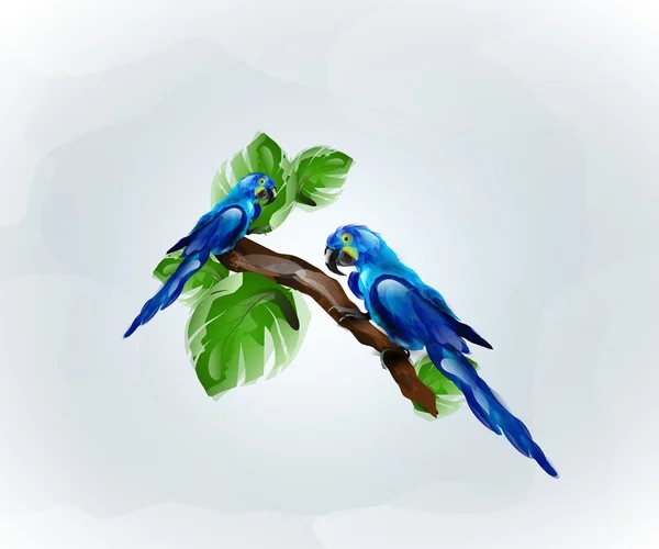 Blue parrots — Stock Photo, Image