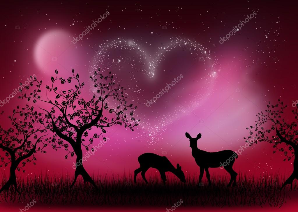 Fotos paisajes de noche con estrellas de amor noche de