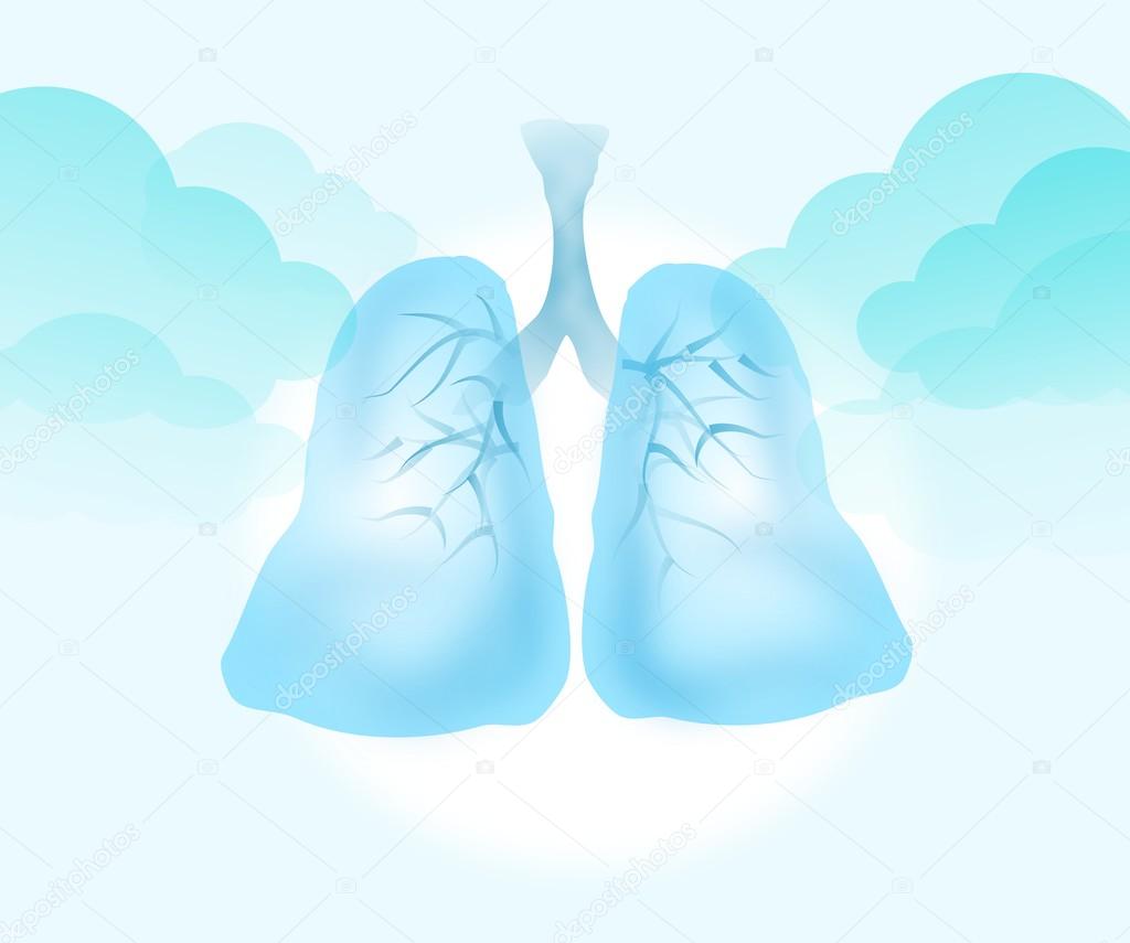 Lungs clear