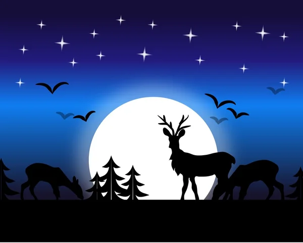 Night deer — Stock Photo, Image
