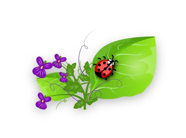 Ladybug pe violet — Fotografie, imagine de stoc