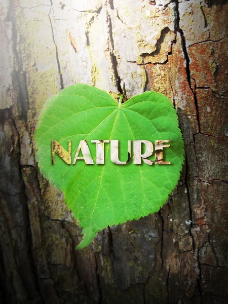 Natur — Stockfoto