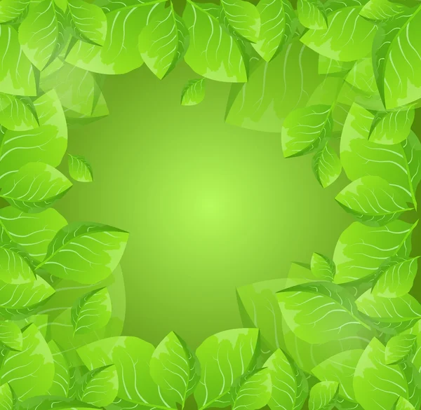 Green leaves background — Stock Photo, Image