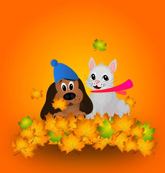 Sevimli köpek ve kedi sonbahar yaprakları