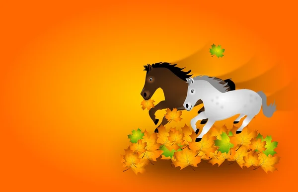 Koń jesienią — Zdjęcie stockowe