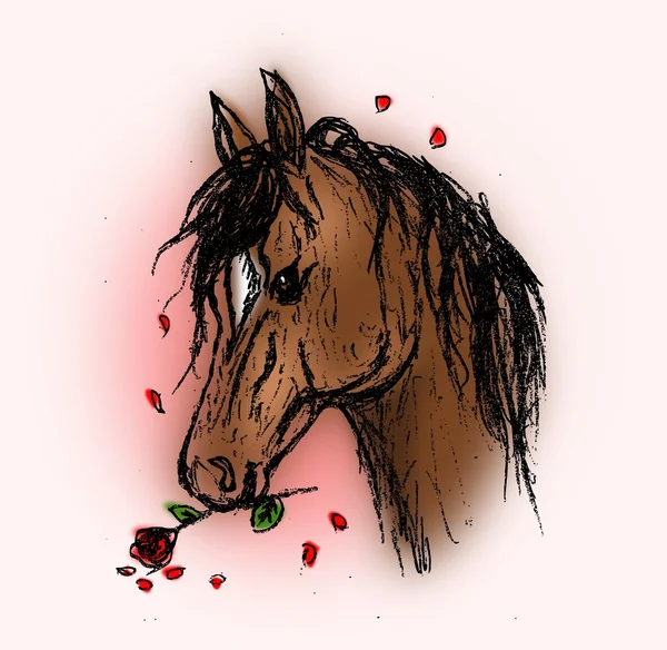 Cheval avec rose rouge — Photo