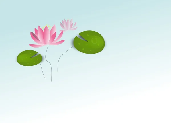 Water lily — Stock Photo, Image