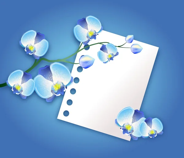 Sfondo orchidea blu — Foto Stock