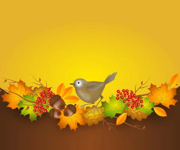 Autumn background — Stock Photo, Image